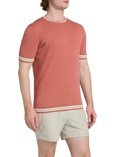 Saks Fifth Avenue Men's Striped-Trim Cotton-Silk Short-Sleeve Sweater - Red Antique - Size XXL | Thumbnail 4