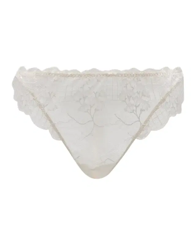 Reve Scalloped Lace Tanga