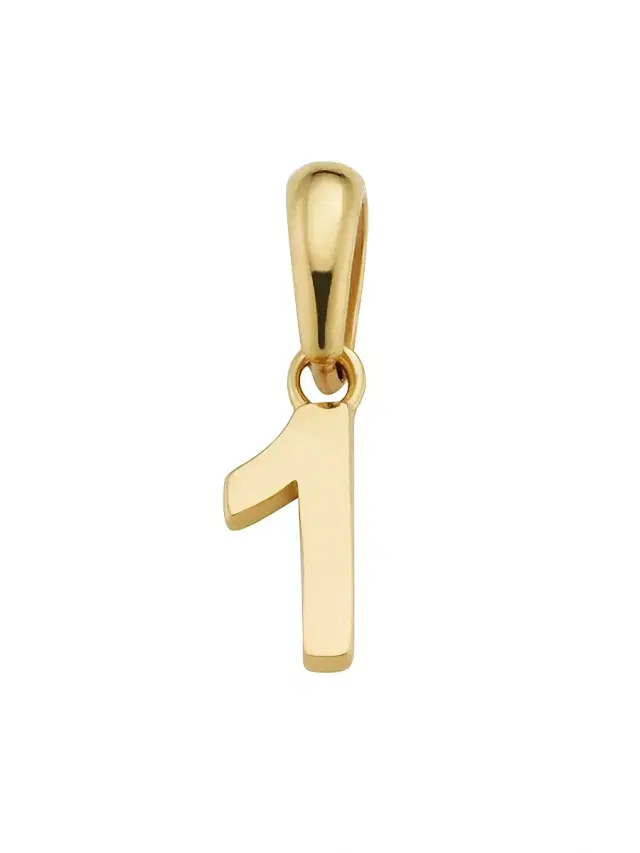 Women's 14K Yellow Gold My Number Pendant Charm - Number 1 Gold