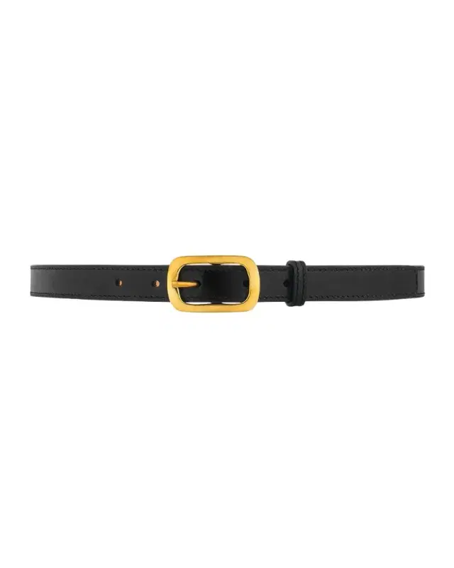 Vaincourt Paris La Petite Captivante Leather & Brass Belt