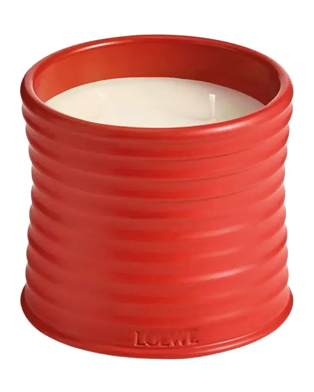 Loewe Medium Tomato Leaves Candle, 21.5 oz.