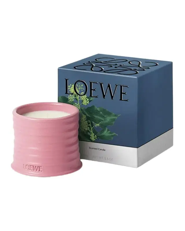 Loewe Small Ivy Candle, 5.8 oz.