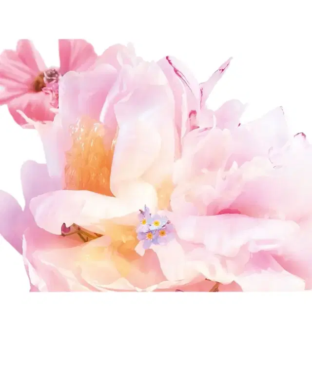 Dior Miss  Blooming Bouquet Eau De Toilette
