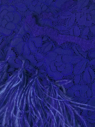 Shani Women's Feathers Lace Minidress - Blue | Thumbnail 6 Shani Women's Feathers Lace Minidress - Blue | Thumbnail 6