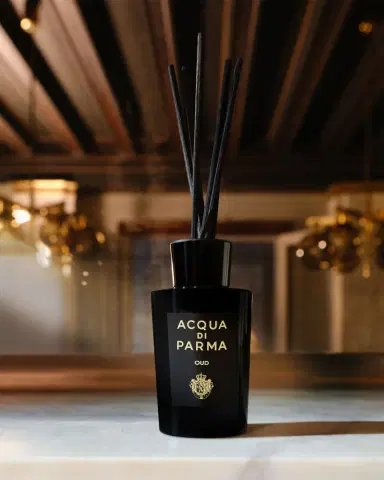 Acqua di Parma Signatures of the Sun Oud Diffuser, 6 oz. | Thumbnail 3