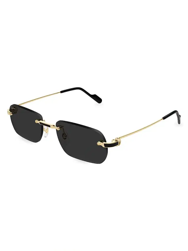 Cartier Women's Santos Classic Première de  59MM Oval Sunglasses - Dark Grey Gold