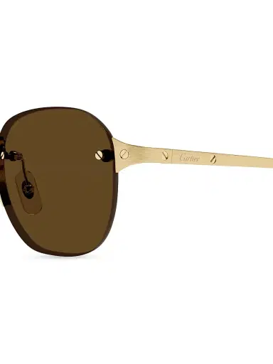 Cartier Men's Santos Classic 53MM Round Sunglasses - Gold Brown | Thumbnail 3