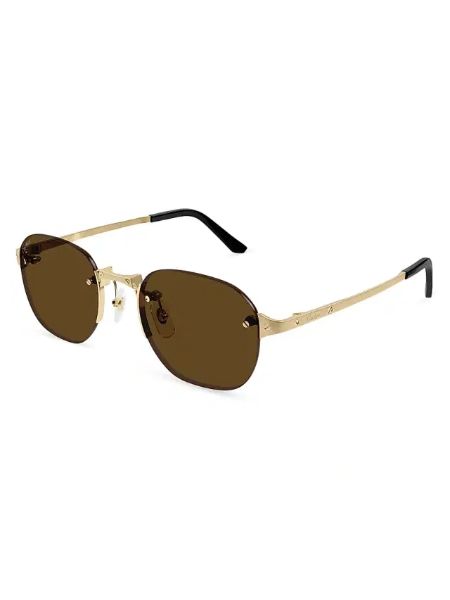 Cartier Men's Santos Classic 53MM Round Sunglasses - Gold Brown
