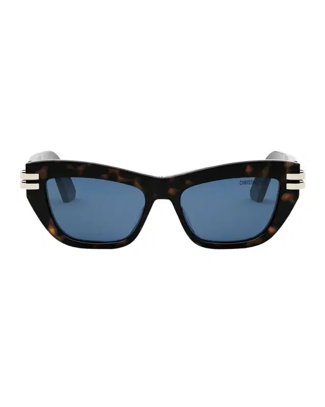 Dior C B2U Sunglasses