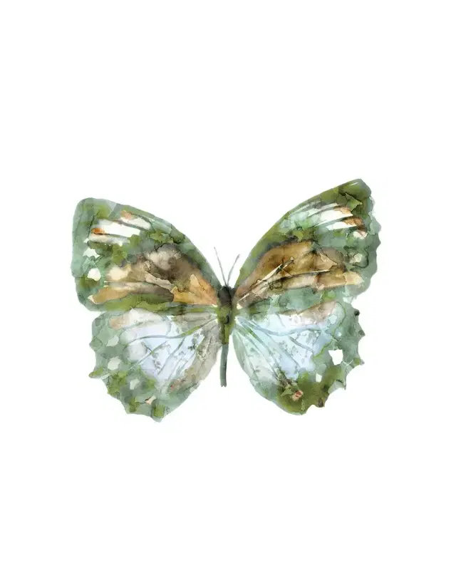 Prestige Arts "Brunswick Butterfly 1" Giclee