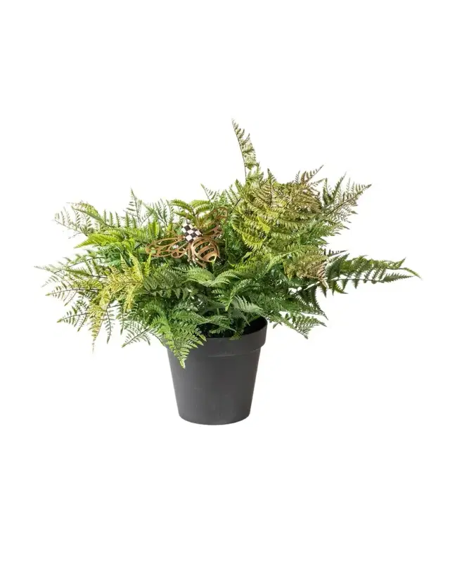 MacKenzie-Childs 26" Potted Fern with Bee