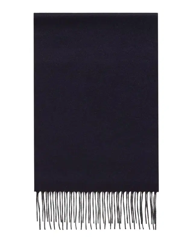PIACENZA 1733 Men 's Two-Tone Cashmere-Silk Scarf