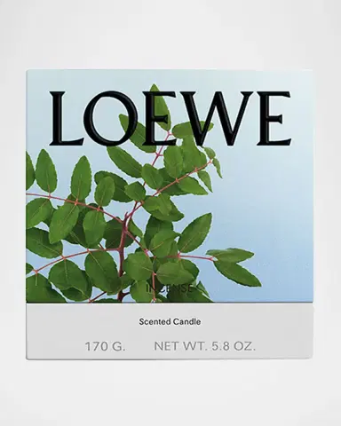 LOEWE Small Incense Candle, 170 g | Thumbnail 3 LOEWE Small Incense Candle, 170 g | Thumbnail 3
