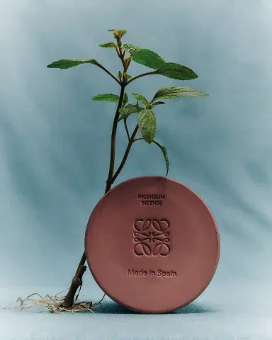 LOEWE Medium Incense Candle, 600 g | Thumbnail 3