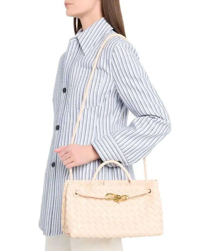 Bottega Veneta Small East-West Andiamo Bag