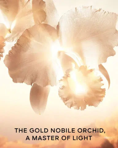 Guerlain Orchidee Imperiale Gold Nobile The Cream, 1.7 oz. | Thumbnail 5 Guerlain Orchidee Imperiale Gold Nobile The Cream, 1.7 oz. | Thumbnail 5