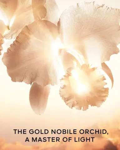 Guerlain Orchidee Imperiale Gold Nobile The Serum, 1 oz. | Thumbnail 4 Guerlain Orchidee Imperiale Gold Nobile The Serum, 1 oz. | Thumbnail 4
