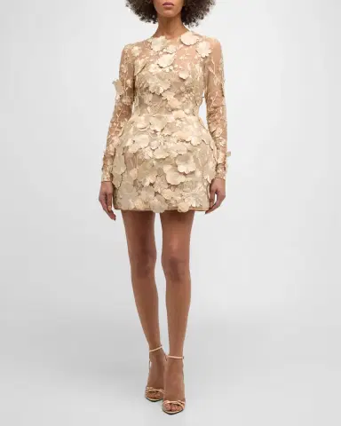 Bronx and Banco Bouquet Maraya Embroidered Illusion Mini Dress | Thumbnail 2