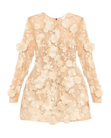 Bronx and Banco Bouquet Maraya Embroidered Illusion Mini Dress | Thumbnail 1
