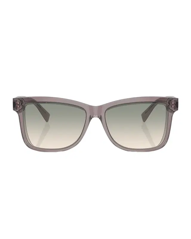 Brunello Cucinelli Logo Acetate Butterfly Sunglasses