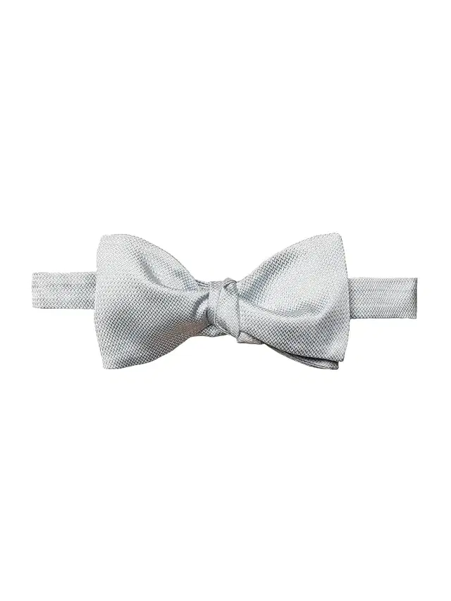 Men's Silk Ready-Tied Bow Tie - Blue