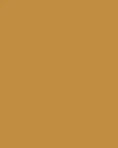 Bottega Veneta French Leather Belt With Hammered Brass Buckle | Thumbnail 2