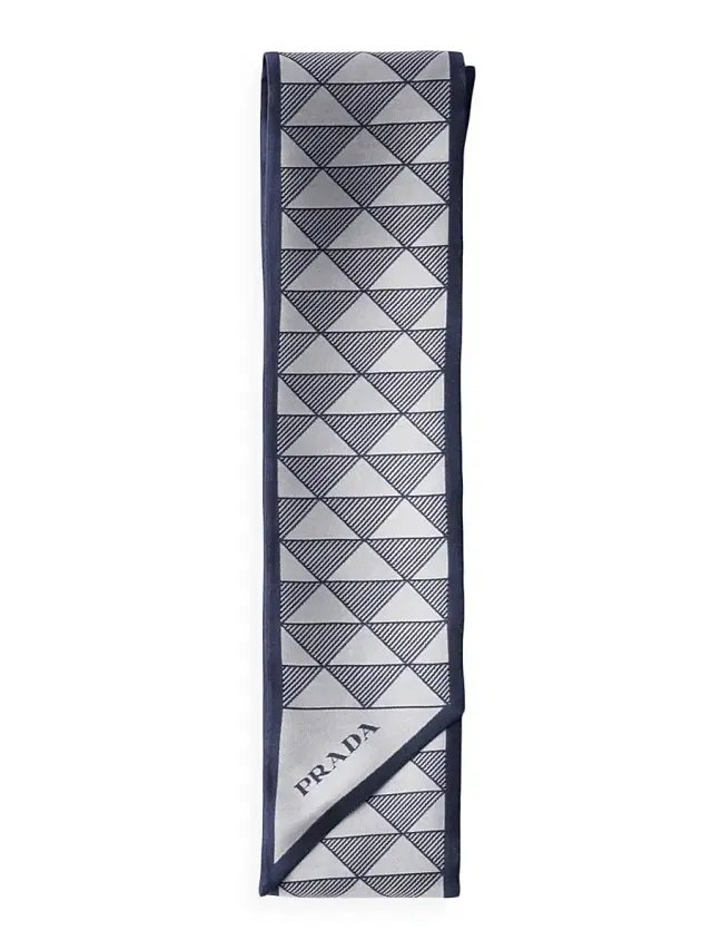 Women's Printed Silk Skinny Scarf - Blue