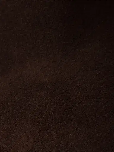 Prada Women's Suede Booties - Brown | Thumbnail 4