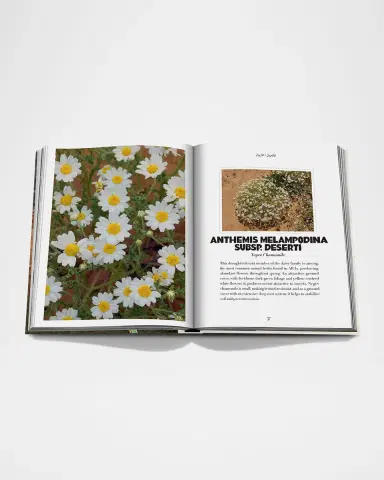 ASSOULINE "AlUla Flora: A Botanical Treasure" Book by Abdulaziz Assaeed | Thumbnail 6 ASSOULINE "AlUla Flora: A Botanical Treasure" Book by Abdulaziz Assaeed | Thumbnail 6
