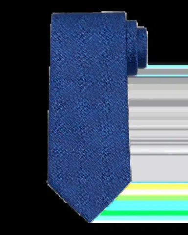 Stefano Ricci Men's Solid Silk Tie | Thumbnail 2