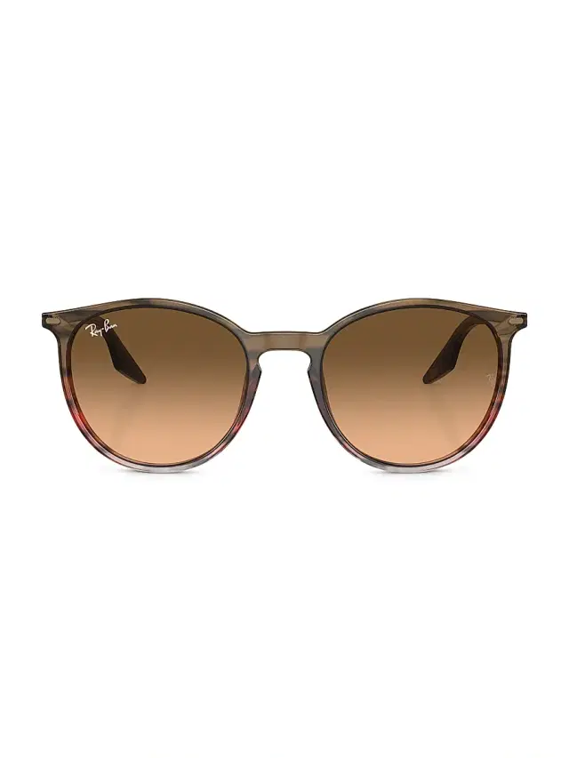 Ray-Ban Women's RB2204 51MM Pantos Sunglasses - Brown