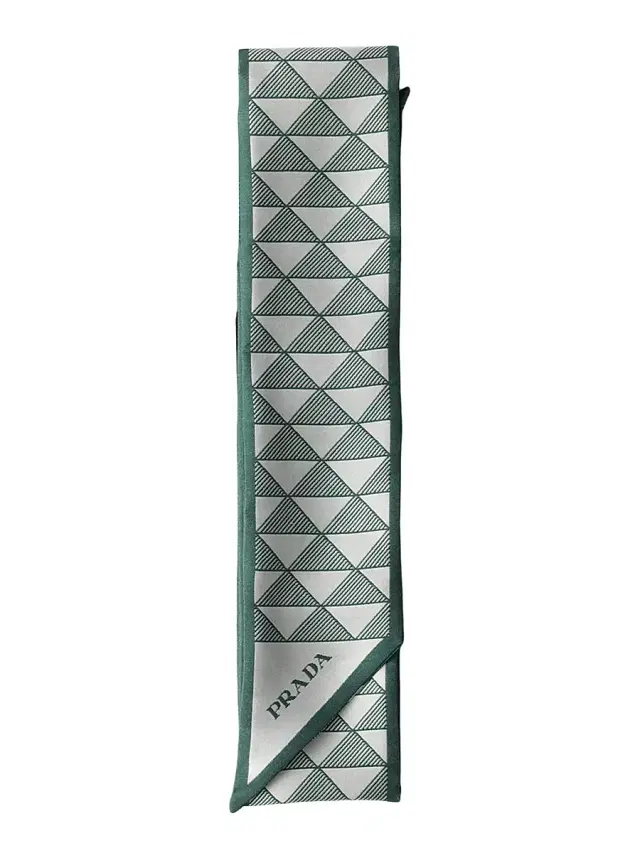 Women's Printed Silk Skinny Scarf - Green
