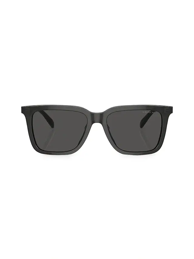 Coach Men's 0HC8385U 54MM Butterfly Sunglasses - Light Grey