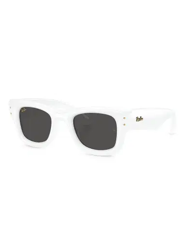 Ray-Ban Men's A$AP Rocky 0Rb4940 47MM Wayfarer Puffer Square Sunglasses | Thumbnail 1 Ray-Ban Men's A$AP Rocky 0Rb4940 47MM Wayfarer Puffer Square Sunglasses | Thumbnail 1