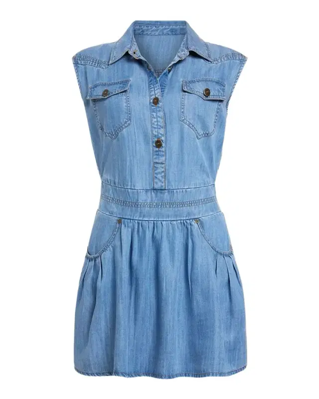 Paxton Denim Mini Shirtdress