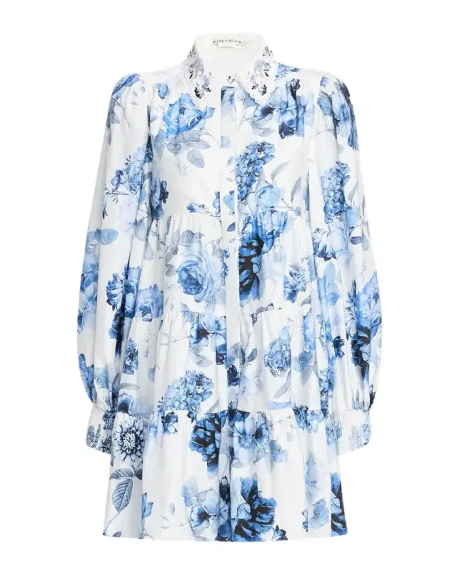Junia Embroidered Collar Mini Shirtdress