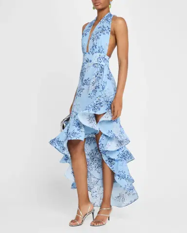 Bronx and Banco Bronte Floral-Print Ruffle Halter Maxi Dress | Thumbnail 4