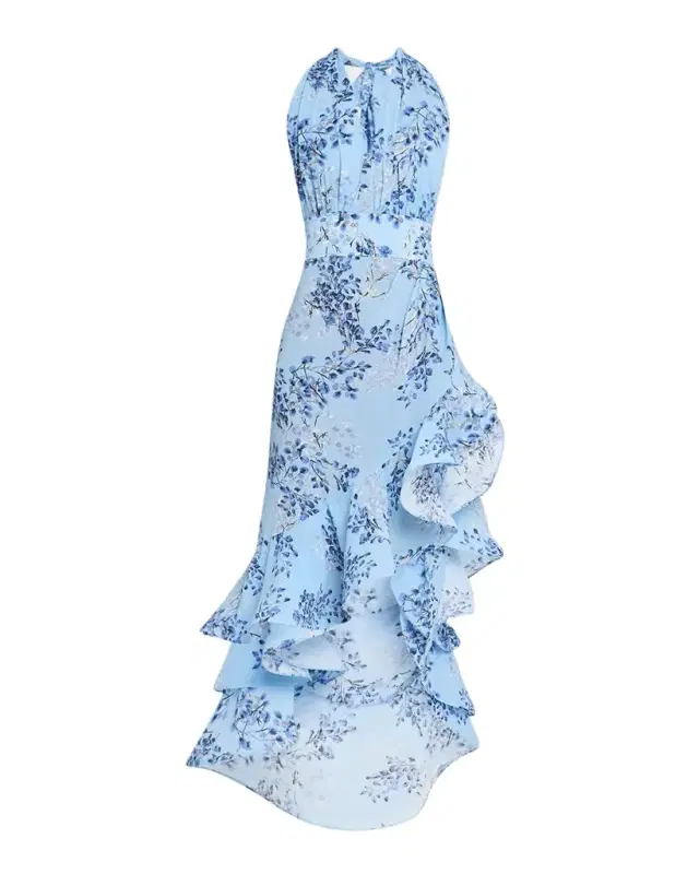 Bronx and Banco Bronte Floral-Print Ruffle Halter Maxi Dress