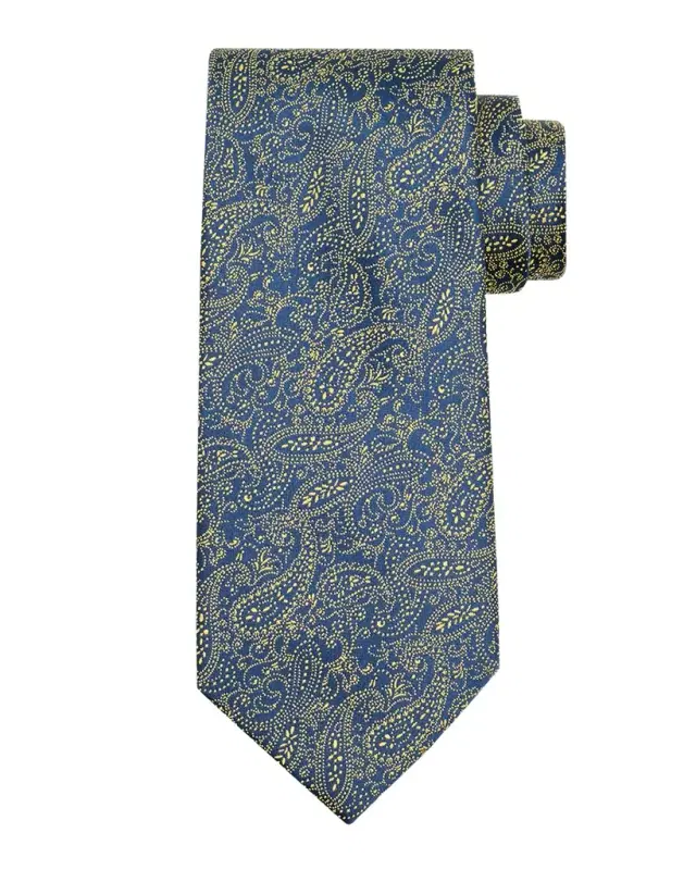 Charvet Men 's Multi-Paisley Silk Tie