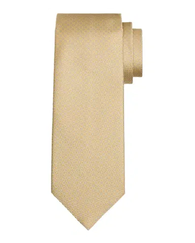 Stefano Ricci Men's Micro-Medallion Silk Tie | Thumbnail 1 Stefano Ricci Men's Micro-Medallion Silk Tie | Thumbnail 1