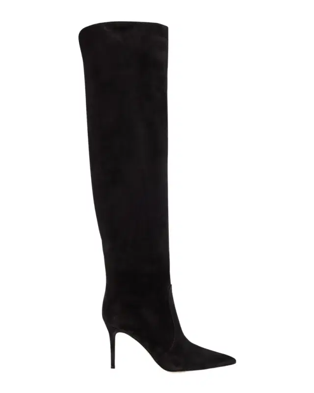 Hansen Suede Pointed-Toe Knee Boots