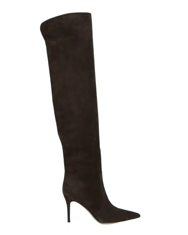 Hansen Suede Pointed-Toe Knee Boots