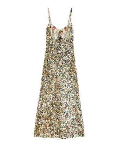 Valentino Garavani Butterfly Embroidered Tulle Maxi Dress | Thumbnail 1 Valentino Garavani Butterfly Embroidered Tulle Maxi Dress | Thumbnail 1