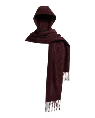 Etro Hooded Paisley Wool Scarf | Thumbnail 1