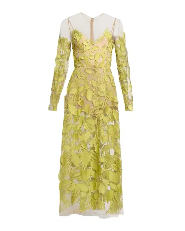 Embroidered Tulle Long-Sleeve Illusion Midi Dress