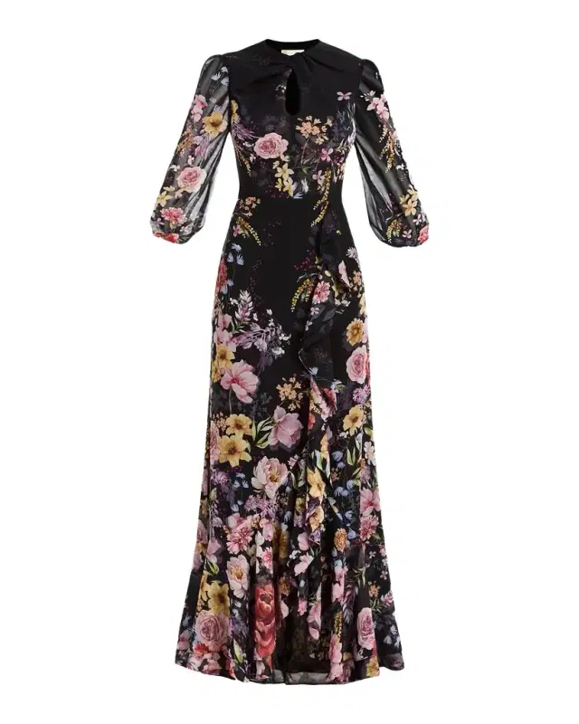 Mestiza New York Ophelia Draped Floral-Print Chiffon Gown