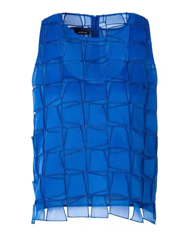 Akris Embroidered Organza Sleeveless Blouse | Thumbnail 1 Akris Embroidered Organza Sleeveless Blouse | Thumbnail 1