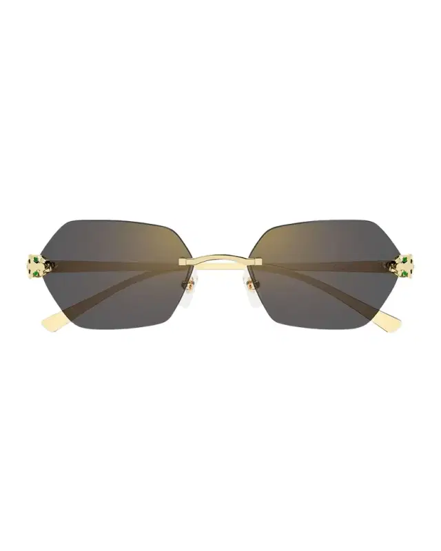 Cartier Panthère de  55mm Geometric Sunglasses