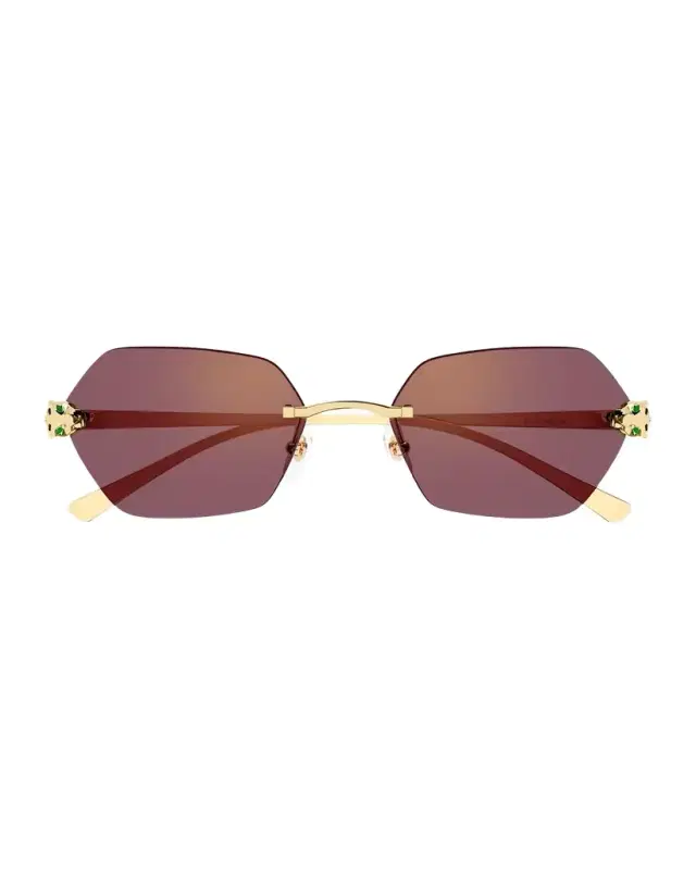 Cartier Panthère de  55mm Geometric Sunglasses