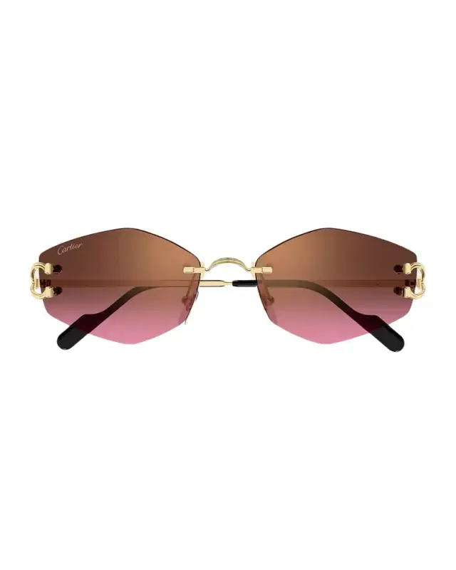 Cartier 56mm Geometric Oval Sunglasses